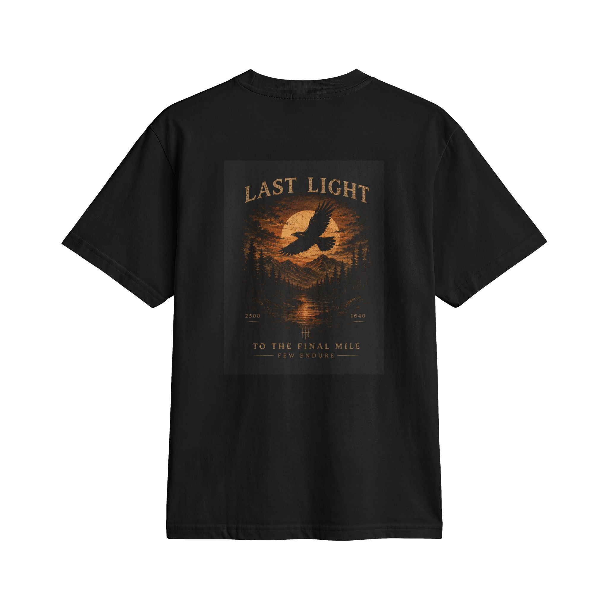 Last Light Eagle Graphic T-Shirt — vintage nature band tee