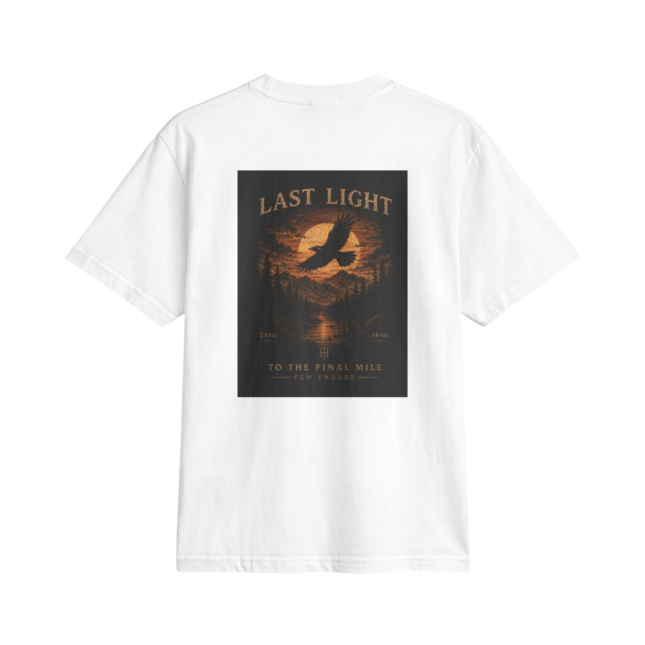 Last Light Eagle Graphic T-Shirt — vintage nature band tee